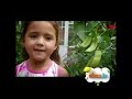 Oobi Commercial Break 2012 Part 4