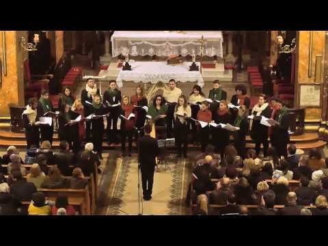 Domnulet si Domn din cer - Canticum & Razvan Rados