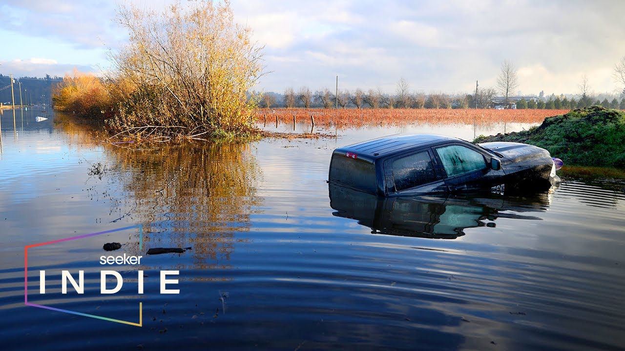 Short Film: How Clear Cutting Could Lead to Massive Floods