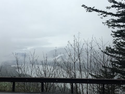 Victor's Birthday 2019