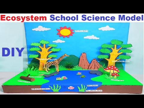 Animal Cell Model 3D model making using cardboard and paper howtofunda still model