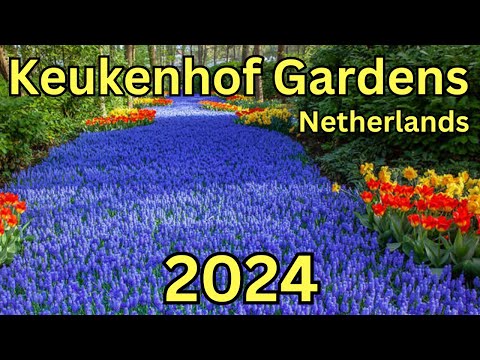 Keukenhof Gardens, Netherlands: 20 Epic Things to Do in Keukenhof Gardens, Netherlands💕