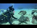 Mar Azul E Piano Um Refúgio De Paz E Beleza