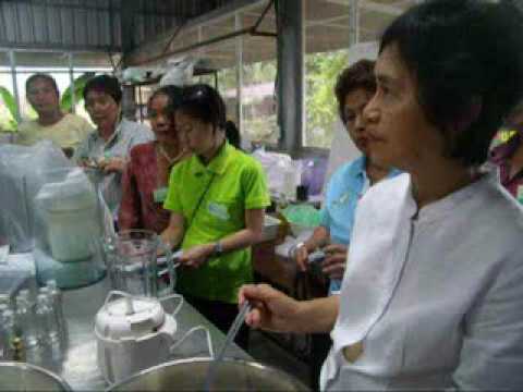 การอบรมทำน้ำมันมะพร้าวน้ำมันมะพร้าว 02