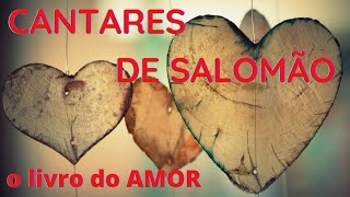 CANTARES DE SALOMAO: Panorama e Explicação | Saiba TUDO sobre o livro do AMOR