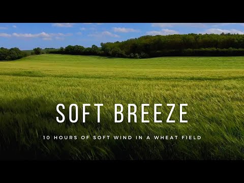 Soft Breeze