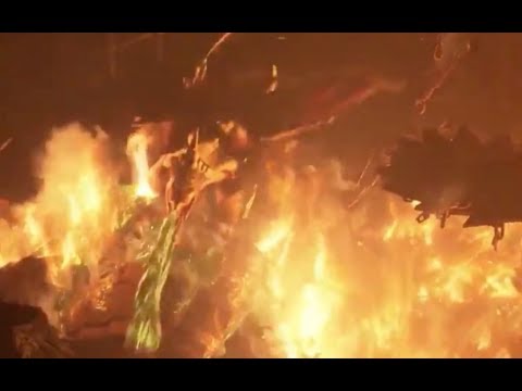 Death Gripper Stats ~HD (HtTYD 3)