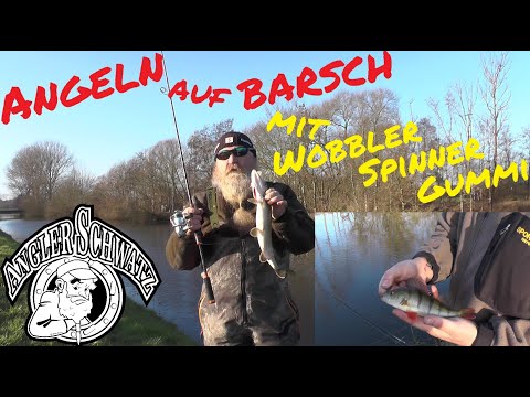 🎣BARSCH🎣 - Mit Wobbler, Löffelspinner und Gummifisch erfolgreich angeln auf Barsch - ANGLERSCHWATZ