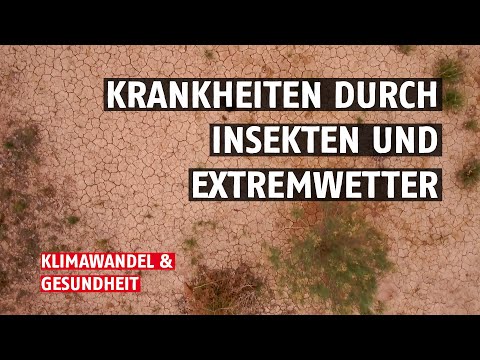 Wie wirkt sich der Klimawandel auf unsere Gesundheit aus? | Ärzte ohne Grenzen