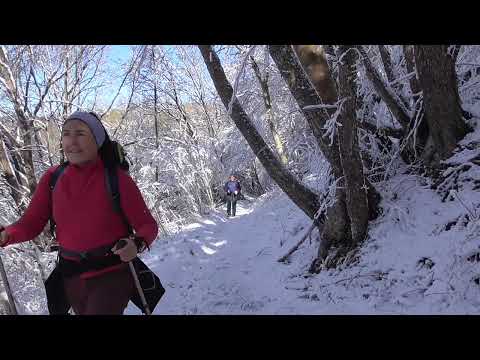 CAI Cividale - Monte Ciaurlec