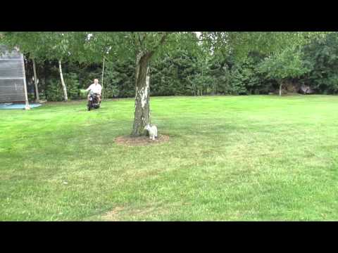 D-Rad R9, Baujahr 1929, Oldtimer Motorrad  Antique Veteran Motorcycle