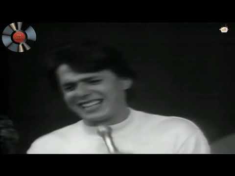 Enrique Guzmán - La Plaga (remix)