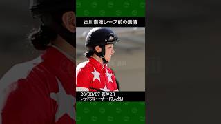 [2026/03/07] 古川奈穂騎手の7番人気レッドフレーザーが7着～阪神競馬2レース #古川奈穂 #競馬 #shorts