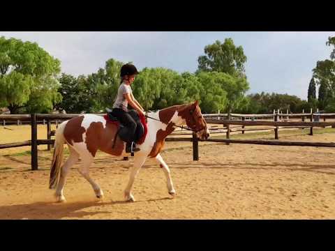 Seyunique Equestrian- Danté riding newly backed Legolas