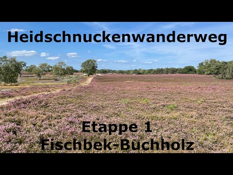 Heidschnuckenweg - Etappe 1 - Fischbek-Buchholz - Wandern im Norden