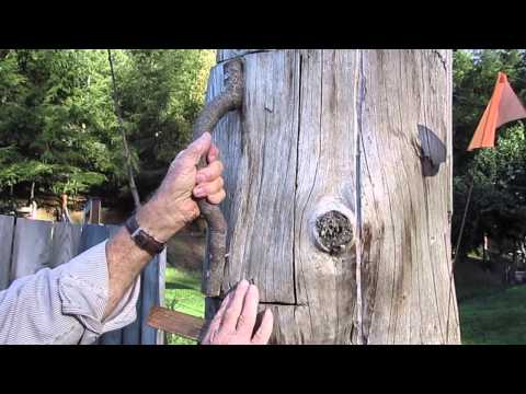 Hal explains his log hive construction