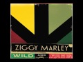 Ziggy Marley - "Mmmm Mmmm" | Wild and Free ...