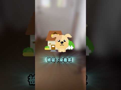 門關上的瞬間，小狗以為自己要被留下了，直到敲門聲再次響起🐕（TT：@uhohtwins）