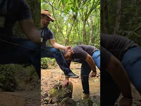 Chácara com 3 casas, estufas, agroindústria e carvão – Tomazina/PR | 43 99627-5172  #sitio  #fazenda