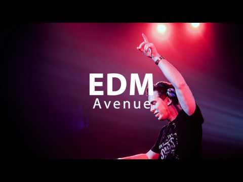 BLACKBIRD VS. RUN WILD (Hardwell Mashup) (Extended)