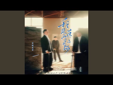 我是真的爱上你
