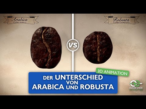 Die Unterschiede zwischen Arabica und Robusta Kaffee