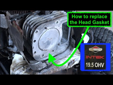 Briggs and Stratton 19.5 Head Gasket Replacement & Valve Guide $2 Fix