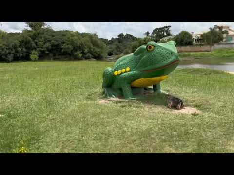 Cidade de Castro Parana