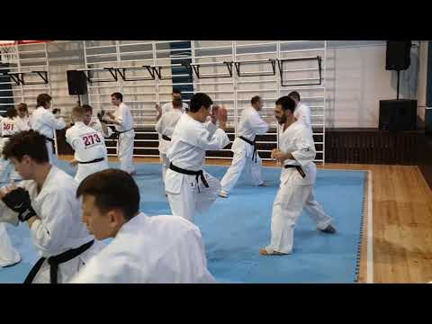 Mikio Ueda vs Ilya Karpenko 1 (January 11, 2020)