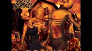 Atrocious Abnormality - Punished Humanity