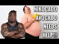 WHY NIKOCADO AVOCADO CAN’T LOSE FAT
