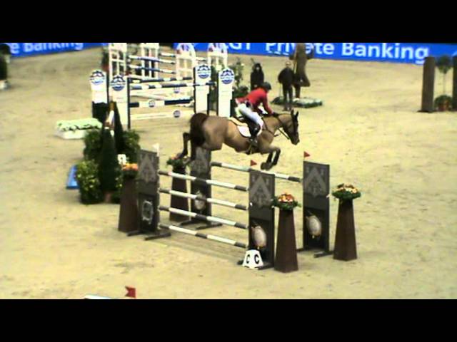 The full-sister of the great-grandmother is the CSI 1.60m jumping mare Valentina van't Heike with rider Jos Lansink.