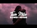 Tum Mile Slowed Reverb