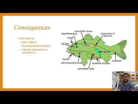 Unit 8, Topic 3, Endocrine Disruptors