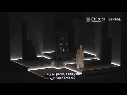 R. Strauss. Elektra. Wer bist denn du?