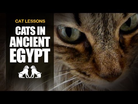 10 Facts About Cats in Ancient Egypt