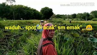 Download lagu Spot mancing di acak' sm emak-emak|| mancing ikn lele dan gabus mp3