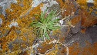 Lisa Stansfield - Didn&#39;t I