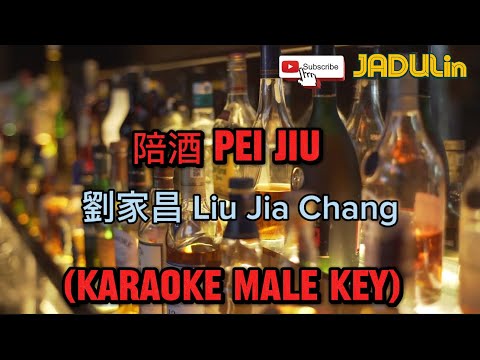 陪酒 PEI JIU (KARAOKE MALE KEY)