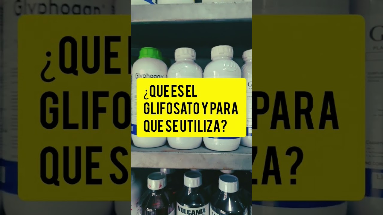 WHAT IS GLYPHOSATE AND WHAT IS IT USED FOR?