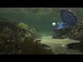 Sia Unforgettable Finding Dory Secret Ending Hank The Septopus Tank Gang After Credits Scene