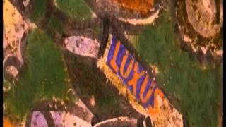 Video Mezi snem a realitou