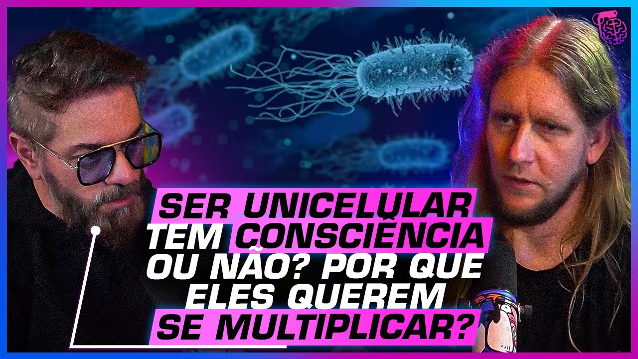 "A VIDA PROVAVELMENTE SURGIU da..." ESTROMATÓLITOS: A FORMA de VIDA MAIS ANTIGA da TERRA?
