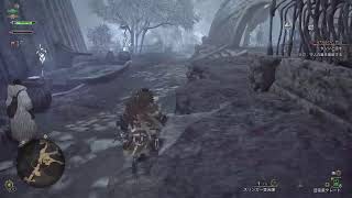 【アクション】 [MONSTER HUNTER WILDS(モンスターハンターワイルズ)] #06