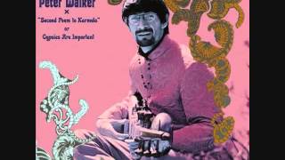 Gypsy Song - Peter Walker