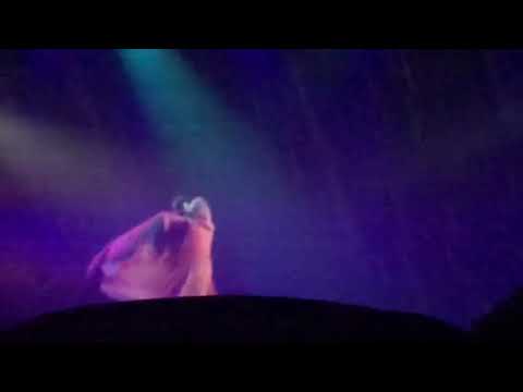 60doc.musical - Wanderlea - O Ritmo da Chuva