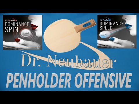 TABLE TENNIS - PENHOLDER OFFENSIVE STYLE - DOMINANCE SPIN & SPEED - STICKY - LG TT STORY