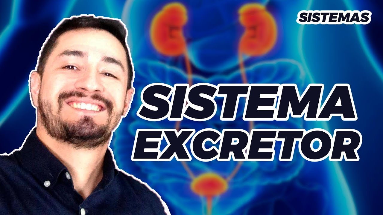 SISTEMA EXCRETOR