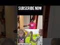 BIG SISTER WHOOPED LITTLE SISTER WITH A BELT, Parents Find Out #viralvideo  #blendedfamilytube