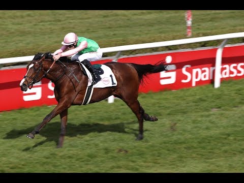 Düsseldorf: Preis der Wettannahme Kalkmann Derby-Trial (Listenrennen) - Sieger: Alounak